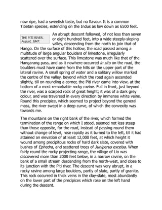 THE PITI RIVER.
August, 1847.
now ripe, had a sweetish taste, but no flavour. It is a common
Tibetan species, extending on the Indus as low down as 6500 feet.
An abrupt descent followed, of not less than seven
or eight hundred feet, into a wide steeply-sloping
valley, descending from the north to join that of
Hango. On the surface of this hollow, the road passed among a
multitude of large angular boulders of limestone, irregularly
scattered over the surface. This limestone was much like that of the
Hangarang pass, and as it nowhere occurred in situ on the road, the
boulders must have come from the hills on the upper part of the
lateral ravine. A small spring of water and a solitary willow marked
the centre of the valley, beyond which the road again ascended
slightly, till on rounding a corner, the Piti river came into view, at the
bottom of a most remarkable rocky ravine. Full in front, just beyond
the river, was a scarped rock of great height; it was of a dark grey
colour, and was traversed in every direction by immense white veins.
Round this precipice, which seemed to project beyond the general
mass, the river swept in a deep curve, of which the convexity was
towards me.
The mountains on the right bank of the river, which formed the
termination of the range on which I stood, seemed not less steep
than those opposite, for the road, instead of passing round them
without change of level, rose rapidly as it turned to the left, till it had
attained an elevation of at least 12,000 feet, at which height it
wound among precipitous rocks of hard dark slate, covered with
bushes of Ephedra, and scattered trees of Juniperus excelsa. When
fairly round the rocky projecting range, the village of Lio was
discovered more than 2000 feet below, in a narrow ravine, on the
bank of a small stream descending from the north-west, and close to
its junction with the Piti river. The descent was very abrupt, in a
rocky ravine among large boulders, partly of slate, partly of granite.
This rock occurred in thick veins in the clay-slate, most abundantly
on the lower part of the precipices which rose on the left hand
during the descent.
 