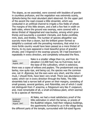 NAKO.
August, 1847.
BUDDHIST
TEMPLES.
August, 1847.
The slopes, as we ascended, were covered with boulders of granite
in countless profusion, and the vegetation was extremely scanty,
Ephedra being the most abundant plant observed. On the upper part
of the ascent the road crossed a little streamlet, which was
conducted in an artificial channel to irrigate a few fields of wheat.
The margins of this little stream, and a belt a few feet in width on
both sides, where the ground was swampy, were covered with a
dense thicket of Hippophaë and rose-bushes, among which grew
thickly and luxuriantly a scandent Clematis, and Rubia cordifolia,
mint, dock, and thistles. The number of species altogether was
scarcely more than a dozen, but the brilliant green formed so
delightful a contrast with the prevailing monotony, that what in a
more fertile country would have been passed as a mere thicket of
thorns, to my eyes appeared a most beautiful grove of graceful
shrubs; and I lingered in the swampy ground, till I had traversed it
repeatedly in every direction, and completely exhausted the flora.
Nako is a smaller village than Lio, and from its
elevation (12,000 feet) has no fruit-trees; but at
the base of the cultivation, which is extensive,
there was a copse of willows and poplars. The predominant crop was
barley, now quite ripe, and being cut; the species was the common
one, not H. Ægiceras, but the ears were very short, and the return
must, I should think, have been very small. There was abundance of
water, which ran in every direction through the fields. The little
streamlets had a narrow belt of green on their margins, consisting of
small grasses, several gentians, and Potentillæ, one of which I could
not distinguish from P. anserina, a Polygonum very like P. viviparum,
and, most remarkable of all, a small orchideous plant, which seemed
to be a species of Herminium.
At Nako, we had a most satisfactory proof of the
little estimation in which the lamas, or priests of
the Buddhist religion, hold their religious buildings,
the apartments furnished to us in the village being
the different parts of the temple, surrounded with full-sized figures
 