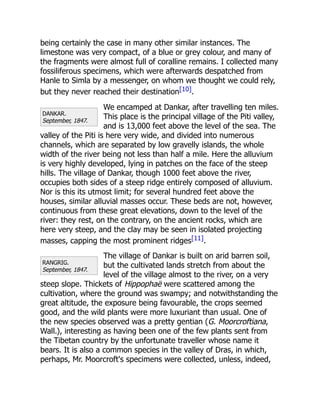DANKAR.
September, 1847.
RANGRIG.
September, 1847.
being certainly the case in many other similar instances. The
limestone was very compact, of a blue or grey colour, and many of
the fragments were almost full of coralline remains. I collected many
fossiliferous specimens, which were afterwards despatched from
Hanle to Simla by a messenger, on whom we thought we could rely,
but they never reached their destination[10].
We encamped at Dankar, after travelling ten miles.
This place is the principal village of the Piti valley,
and is 13,000 feet above the level of the sea. The
valley of the Piti is here very wide, and divided into numerous
channels, which are separated by low gravelly islands, the whole
width of the river being not less than half a mile. Here the alluvium
is very highly developed, lying in patches on the face of the steep
hills. The village of Dankar, though 1000 feet above the river,
occupies both sides of a steep ridge entirely composed of alluvium.
Nor is this its utmost limit; for several hundred feet above the
houses, similar alluvial masses occur. These beds are not, however,
continuous from these great elevations, down to the level of the
river: they rest, on the contrary, on the ancient rocks, which are
here very steep, and the clay may be seen in isolated projecting
masses, capping the most prominent ridges[11].
The village of Dankar is built on arid barren soil,
but the cultivated lands stretch from about the
level of the village almost to the river, on a very
steep slope. Thickets of Hippophaë were scattered among the
cultivation, where the ground was swampy; and notwithstanding the
great altitude, the exposure being favourable, the crops seemed
good, and the wild plants were more luxuriant than usual. One of
the new species observed was a pretty gentian (G. Moorcroftiana,
Wall.), interesting as having been one of the few plants sent from
the Tibetan country by the unfortunate traveller whose name it
bears. It is also a common species in the valley of Dras, in which,
perhaps, Mr. Moorcroft's specimens were collected, unless, indeed,
 