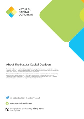 naturalcapitalcoalition.org
Designed and produced by Radley Yeldar
www.ry.com
The Natural Capital Coalition brings together leading initiatives and organizations under a
common vision of a world where business conserves and enhances the natural capital that
safeguards thriving societies and prosperous economies.
It is a collaboration between research, science, academia, business, advisory, membership,
accountancy, reporting, standard setting, finance, investment, policy, government,
conservation and civil society. Its strength comes from this diversity, and from a shared
belief that we can achieve more together than we could alone.
About The Natural Capital Coalition
@NatCapCoalition #NatCapProtocol
 