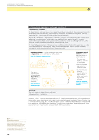 46
4.1 Impact and dependency pathways – continued
Dependency pathways
A dependency pathway shows how a particular business activity depends upon specific
features of natural capital. It identifies how observed or potential changes in natural
capital affect the costs and/or benefits of doing business.
Figure 4.2 illustrates a dependency pathway using the pollination of coffee plants as an
example. In this situation, a decline in the populations of wild pollinators (due to
deforestation) results in lower yields and/or additional costs to coffee producers, who
may be forced to rely on commercial pollinating services.
A materiality assessment in this example would consider whether the yield loss or extra
cost of commercial pollination is likely to have a significant impact on the business,
compared to other potential relevant dependencies.
Business activities at a coffee production plant have
a dependency on the pollination of coffee plants
Step 05: Measure dependencies
Changes in
natural capital
afffect business
dependency, so
pollination
services are
imported
Step 07: Value
dependencies
Changes in natural
capital cause the
bee population to
decline, due to:
– The business
itself, e.g. overuse
of pesticides
– Natural changes
e.g. extreme
weather events
– Human-induced
changes,
including due to
the activity of
other businesses,
e.g. habitat
change
Step 06: Measure
changes in natural
capital
Pollination
Figure 4.2
Generic steps in dependency pathways
(Adapted from PwC 2015)
Tables 4.1 and 4.2 below present a selection of potential impact drivers and dependencies
to consider when identifying which are most material to your business. You will notice that
a business activity (e.g., the use of water) can create both impacts and dependencies and
thus appear in both tables; for clarity the Protocol discusses each separately, but in your
assessment you may need to consider both at the same time.
NATURAL CAPITAL PROTOCOL
04 Determine the impacts and/or dependencies
	Glossary
Dependency pathway
A dependency pathway shows how
a particular business activity
depends upon specific features of
natural capital. It identifies how
observed or potential changes in
natural capital affect the costs and/
or benefits of doing business.
 