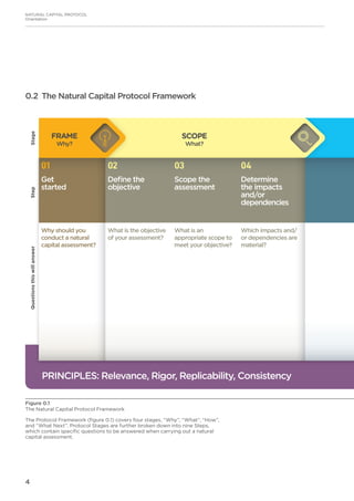 4
NATURAL CAPITAL PROTOCOL
Orientation
0.2 The Natural Capital Protocol Framework
Figure 0.1
The Natural Capital Protocol Framework
01
Get
started
02
Define the
objective
03
Scope the
assessment
04
Determine
the impacts
and/or
dependencies
Why should you
conduct a natural
capital assessment?
What is the objective
of your assessment?
What is an
appropriate scope to
meet your objective?
Which impacts and/
or dependencies are
material?
StepQuestionsthiswillanswer
PRINCIPLES: Relevance, Rigor, Replicability, Consistency
Stage
SCOPE
What?
FRAME
Why?
The Protocol Framework (figure 0.1) covers four stages, “Why”, “What”, “How”,
and “What Next”. Protocol Stages are further broken down into nine Steps,
which contain specific questions to be answered when carrying out a natural
capital assessment.
 
