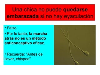 Una chica no puede quedarse
embarazada si no hay eyaculación
• Falso.
• Por lo tanto, la marcha
atrás no es un método
anticonceptivo eficaz.
• Recuerda: “Antes de
llover, chispea”
 