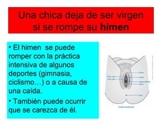 Una chica deja de ser virgen
si se rompe su himen
• El himen se puede
romper con la práctica
intensiva de algunos
deportes (gimnasia,
ciclismo…) o a causa de
una caída.
• También puede ocurrir
que se carezca de él.
 