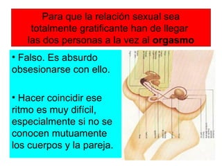 Para que la relación sexual sea
totalmente gratificante han de llegar
las dos personas a la vez al orgasmo
• Falso. Es absurdo
obsesionarse con ello.
• Hacer coincidir ese
ritmo es muy difícil,
especialmente si no se
conocen mutuamente
los cuerpos y la pareja.
 