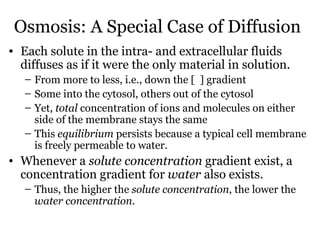 Osmosis: A Special Case of Diffusion
• Each solute in the intra- and extracellular fluids
  diffuses as if it were the only material in solution.
   – From more to less, i.e., down the [ ] gradient
   – Some into the cytosol, others out of the cytosol
   – Yet, total concentration of ions and molecules on either
     side of the membrane stays the same
   – This equilibrium persists because a typical cell membrane
     is freely permeable to water.
• Whenever a solute concentration gradient exist, a
  concentration gradient for water also exists.
   – Thus, the higher the solute concentration, the lower the
     water concentration.
 