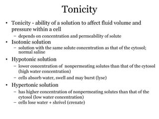Tonicity
• Tonicity - ability of a solution to affect fluid volume and
  pressure within a cell
   – depends on concentration and permeability of solute
• Isotonic solution
   – solution with the same solute concentration as that of the cytosol;
     normal saline
• Hypotonic solution
   – lower concentration of nonpermeating solutes than that of the cytosol
     (high water concentration)
   – cells absorb water, swell and may burst (lyse)
• Hypertonic solution
   – has higher concentration of nonpermeating solutes than that of the
     cytosol (low water concentration)
   – cells lose water + shrivel (crenate)
 