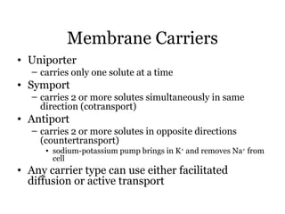 Membrane Carriers
• Uniporter
   – carries only one solute at a time
• Symport
   – carries 2 or more solutes simultaneously in same
     direction (cotransport)
• Antiport
   – carries 2 or more solutes in opposite directions
     (countertransport)
      • sodium-potassium pump brings in K+ and removes Na+ from
        cell
• Any carrier type can use either facilitated
  diffusion or active transport
 