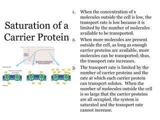1. When the concentration of x
                     molecules outside the cell is low, the

Saturation of a      transport rate is low because it is
                     limited by the number of molecules
                     available to be transported.
Carrier Protein   2. When more molecules are present
                     outside the cell, as long as enough
                     carrier proteins are available, more
                     molecules can be transported; thus,
                     the transport rate increases.
                  3. The transport rate is limited by the
                     number of carrier proteins and the
                     rate at which each carrier protein
                     can transport solutes. When the
                     number of molecules outside the cell
                     is so large that the carrier proteins
                     are all occupied, the system is
                     saturated and the transport rate
                     cannot increase.
 