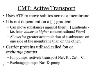 CMT: Active Transport
• Uses ATP to move solutes across a membrane
• It is not dependent on a [ ] gradient
  – Can move substances against their [ ] gradients -
    i.e. from lower to higher concentrations! Wow!
  – Allows for greater accumulation of a substance on
    one side of the membrane than on the other.
• Carrier proteins utilized called ion or
  exchange pumps.
  – Ion pumps: actively transport Na+, K+, Ca++, Cl-
  – Exchange pumps: Na+-K+ pump
 