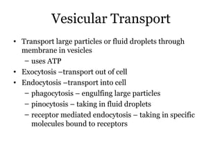 Vesicular Transport
• Transport large particles or fluid droplets through
  membrane in vesicles
   – uses ATP
• Exocytosis –transport out of cell
• Endocytosis –transport into cell
   – phagocytosis – engulfing large particles
   – pinocytosis – taking in fluid droplets
   – receptor mediated endocytosis – taking in specific
     molecules bound to receptors
 