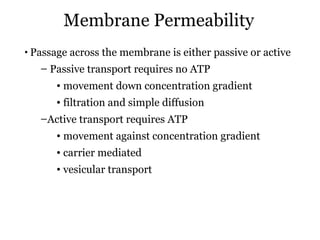 Membrane Permeability
• Passage across the membrane is either passive or active
   – Passive transport requires no ATP
      • movement down concentration gradient
      • filtration and simple diffusion
   –Active transport requires ATP
      • movement against concentration gradient
      • carrier mediated
      • vesicular transport
 