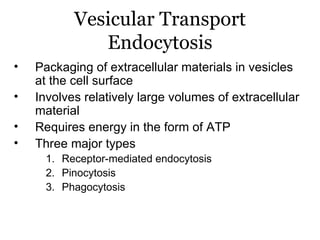 Vesicular Transport
              Endocytosis
•   Packaging of extracellular materials in vesicles
    at the cell surface
•   Involves relatively large volumes of extracellular
    material
•   Requires energy in the form of ATP
•   Three major types
      1. Receptor-mediated endocytosis
      2. Pinocytosis
      3. Phagocytosis
 