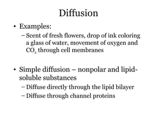 Diffusion
• Examples:
  – Scent of fresh flowers, drop of ink coloring
    a glass of water, movement of oxygen and
    CO2 through cell membranes


• Simple diffusion – nonpolar and lipid-
  soluble substances
  – Diffuse directly through the lipid bilayer
  – Diffuse through channel proteins
 