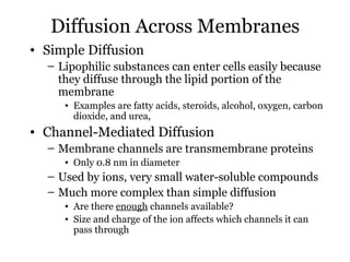 Diffusion Across Membranes
• Simple Diffusion
  – Lipophilic substances can enter cells easily because
    they diffuse through the lipid portion of the
    membrane
     • Examples are fatty acids, steroids, alcohol, oxygen, carbon
       dioxide, and urea,
• Channel-Mediated Diffusion
  – Membrane channels are transmembrane proteins
     • Only 0.8 nm in diameter
  – Used by ions, very small water-soluble compounds
  – Much more complex than simple diffusion
     • Are there enough channels available?
     • Size and charge of the ion affects which channels it can
       pass through
 