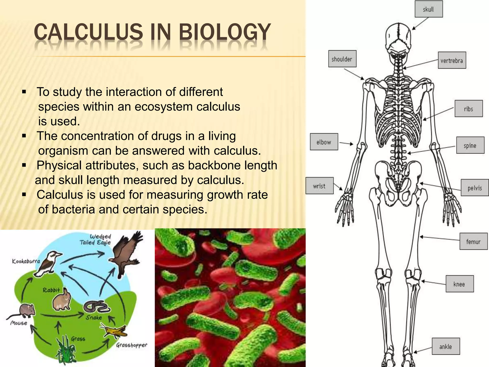 Application of real life in calculus | PPTX