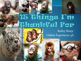 Bailey Sharp
Online Experience 5A
 