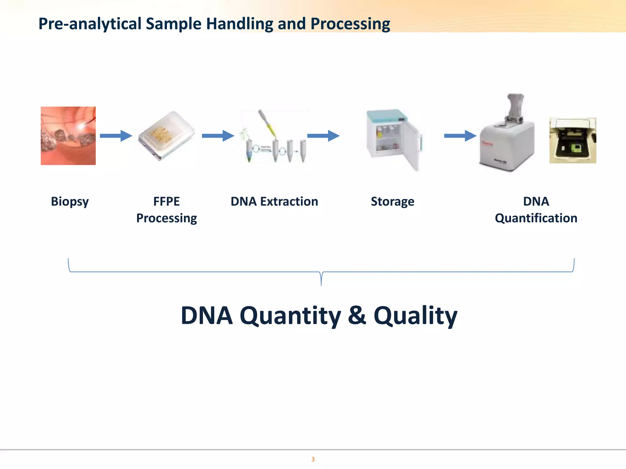 Pre-analytical Sample Handling and Processing
Biopsy DNA
Quantification
StorageDNA Extraction
DNA Quantity & Quality
FFPE
Processing
3
 