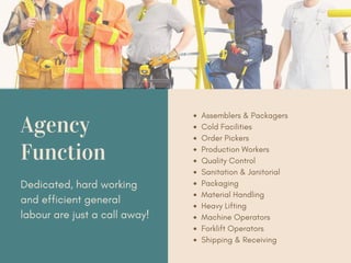 Agency
Function
Assemblers & Packagers
Cold Facilities
Order Pickers
Production Workers
Quality Control
Sanitation & Janitorial
Packaging
Material Handling
Heavy Lifting
Machine Operators
Forklift Operators
Shipping & Receiving
Dedicated, hard working
and efficient general
labour are just a call away!
 