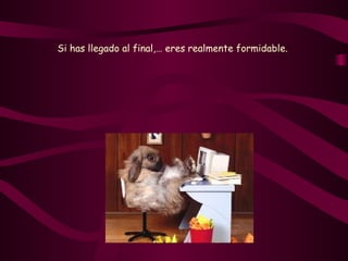 Si has llegado al final,… eres realmente formidable.   
