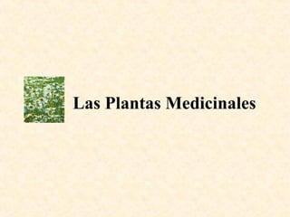 Las Plantas Medicinales
 