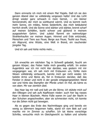 Dann erinnerte ich mich mit einem Mal Ylajalis. Daß ich sie den
ganzen Abend über so vollständig vergessen hatte! Und das Licht
dringt wieder ganz schwach in mein Gemüt, — ein kleiner
Sonnenstrahl, der mich so wohltuend wärmt. Und es kommt noch
mehr Sonne, ein mildes, feines Seidenlicht, das mich betäubend
herrlich streift. Und die Sonne wird stärker und stärker, brennt scharf
auf meinen Schläfen, kocht schwer und glühend in meinem
ausgezehrten Gehirn. Und zuletzt flammt ein wahnwitziger
Strahlenhaufen vor meinen Augen. Himmel und Erde entzündet,
Menschen und Tiere aus Feuer, Berge aus Feuer, Teufel aus Feuer,
ein Abgrund, eine Wüste, eine Welt in Brand, ein rauchender
jüngster Tag.
Und ich sah und hörte nichts mehr....
Ich erwachte am nächsten Tag in Schweiß gebadet, feucht am
ganzen Körper; das Fieber hatte mich gewaltig erfaßt. Im ersten
Augenblick war ich mir nicht klar darüber, was gestern mit mir
vorgegangen war, ich sah mich mit Erstaunen um, fühlte mein
Wesen vollständig vertauscht, kannte mich gar nicht wieder. Ich
tastete Arme und Beine ab, fiel in Erstaunen darüber, daß das
Fenster in dieser und nicht in der gerade entgegengesetzten Wand
war und hörte das Stampfen der Pferde unten im Hof, als käme es
von oben. Mir war ziemlich übel.
Das Haar lag mir naß und kalt um die Stirne; ich stützte mich auf
den Ellbogen und sah aufs Kopfkissen nieder: auch hier lag nasses
Haar in kleinen Büscheln. Meine Füße waren im Lauf der Nacht in
den Schuhen angeschwollen; aber sie schmerzten nicht, ich konnte
nur die Zehen nicht gut bewegen.
Als es gegen das Ende des Nachmittages ging und bereits ein
wenig zu dämmern begonnen hatte, stand ich vom Bett auf und
machte mir im Zimmer zu schaffen. Ich tat kleine vorsichtige
Schritte, versuchte mich im Gleichgewicht zu halten und schonte
 