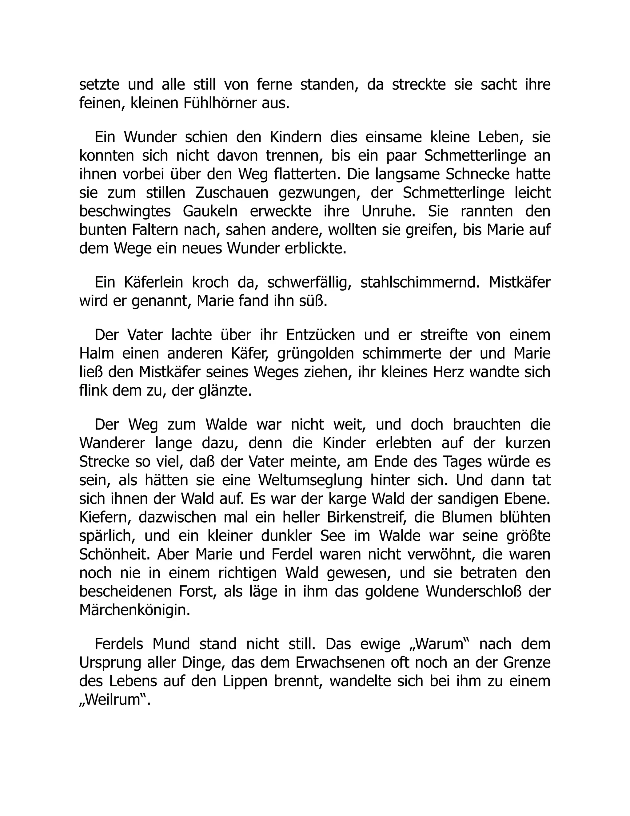 setzte und alle still von ferne standen, da streckte sie sacht ihre
feinen, kleinen Fühlhörner aus.
Ein Wunder schien den Kindern dies einsame kleine Leben, sie
konnten sich nicht davon trennen, bis ein paar Schmetterlinge an
ihnen vorbei über den Weg flatterten. Die langsame Schnecke hatte
sie zum stillen Zuschauen gezwungen, der Schmetterlinge leicht
beschwingtes Gaukeln erweckte ihre Unruhe. Sie rannten den
bunten Faltern nach, sahen andere, wollten sie greifen, bis Marie auf
dem Wege ein neues Wunder erblickte.
Ein Käferlein kroch da, schwerfällig, stahlschimmernd. Mistkäfer
wird er genannt, Marie fand ihn süß.
Der Vater lachte über ihr Entzücken und er streifte von einem
Halm einen anderen Käfer, grüngolden schimmerte der und Marie
ließ den Mistkäfer seines Weges ziehen, ihr kleines Herz wandte sich
flink dem zu, der glänzte.
Der Weg zum Walde war nicht weit, und doch brauchten die
Wanderer lange dazu, denn die Kinder erlebten auf der kurzen
Strecke so viel, daß der Vater meinte, am Ende des Tages würde es
sein, als hätten sie eine Weltumseglung hinter sich. Und dann tat
sich ihnen der Wald auf. Es war der karge Wald der sandigen Ebene.
Kiefern, dazwischen mal ein heller Birkenstreif, die Blumen blühten
spärlich, und ein kleiner dunkler See im Walde war seine größte
Schönheit. Aber Marie und Ferdel waren nicht verwöhnt, die waren
noch nie in einem richtigen Wald gewesen, und sie betraten den
bescheidenen Forst, als läge in ihm das goldene Wunderschloß der
Märchenkönigin.
Ferdels Mund stand nicht still. Das ewige „Warum“ nach dem
Ursprung aller Dinge, das dem Erwachsenen oft noch an der Grenze
des Lebens auf den Lippen brennt, wandelte sich bei ihm zu einem
„Weilrum“.
 