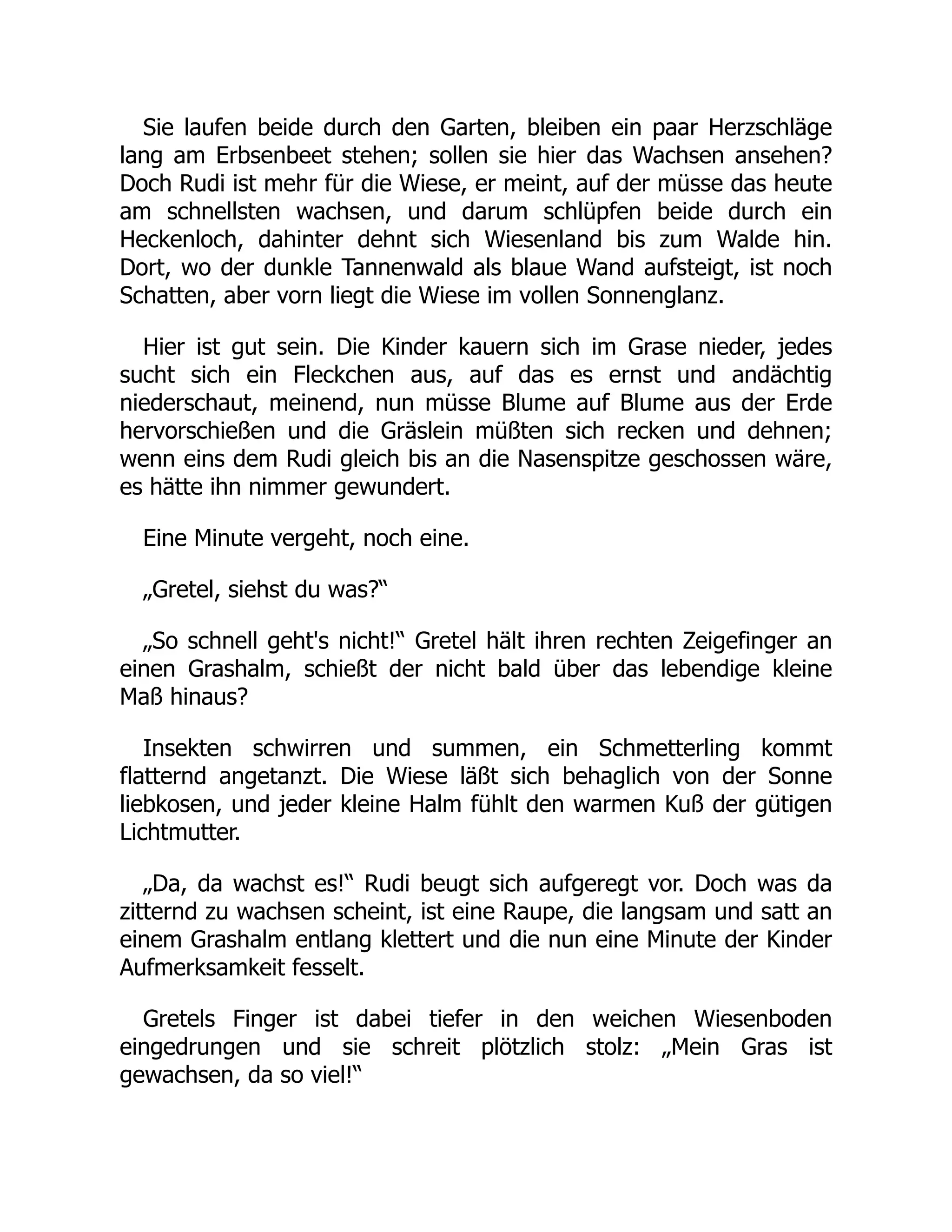 Sie laufen beide durch den Garten, bleiben ein paar Herzschläge
lang am Erbsenbeet stehen; sollen sie hier das Wachsen ansehen?
Doch Rudi ist mehr für die Wiese, er meint, auf der müsse das heute
am schnellsten wachsen, und darum schlüpfen beide durch ein
Heckenloch, dahinter dehnt sich Wiesenland bis zum Walde hin.
Dort, wo der dunkle Tannenwald als blaue Wand aufsteigt, ist noch
Schatten, aber vorn liegt die Wiese im vollen Sonnenglanz.
Hier ist gut sein. Die Kinder kauern sich im Grase nieder, jedes
sucht sich ein Fleckchen aus, auf das es ernst und andächtig
niederschaut, meinend, nun müsse Blume auf Blume aus der Erde
hervorschießen und die Gräslein müßten sich recken und dehnen;
wenn eins dem Rudi gleich bis an die Nasenspitze geschossen wäre,
es hätte ihn nimmer gewundert.
Eine Minute vergeht, noch eine.
„Gretel, siehst du was?“
„So schnell geht's nicht!“ Gretel hält ihren rechten Zeigefinger an
einen Grashalm, schießt der nicht bald über das lebendige kleine
Maß hinaus?
Insekten schwirren und summen, ein Schmetterling kommt
flatternd angetanzt. Die Wiese läßt sich behaglich von der Sonne
liebkosen, und jeder kleine Halm fühlt den warmen Kuß der gütigen
Lichtmutter.
„Da, da wachst es!“ Rudi beugt sich aufgeregt vor. Doch was da
zitternd zu wachsen scheint, ist eine Raupe, die langsam und satt an
einem Grashalm entlang klettert und die nun eine Minute der Kinder
Aufmerksamkeit fesselt.
Gretels Finger ist dabei tiefer in den weichen Wiesenboden
eingedrungen und sie schreit plötzlich stolz: „Mein Gras ist
gewachsen, da so viel!“
 
