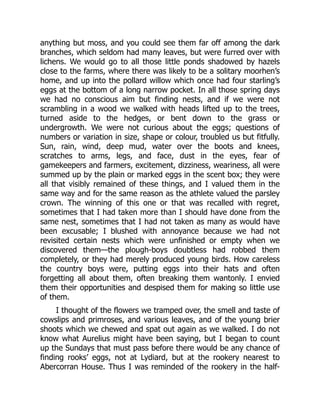 anything but moss, and you could see them far off among the dark
branches, which seldom had many leaves, but were furred over with
lichens. We would go to all those little ponds shadowed by hazels
close to the farms, where there was likely to be a solitary moorhen’s
home, and up into the pollard willow which once had four starling’s
eggs at the bottom of a long narrow pocket. In all those spring days
we had no conscious aim but finding nests, and if we were not
scrambling in a wood we walked with heads lifted up to the trees,
turned aside to the hedges, or bent down to the grass or
undergrowth. We were not curious about the eggs; questions of
numbers or variation in size, shape or colour, troubled us but fitfully.
Sun, rain, wind, deep mud, water over the boots and knees,
scratches to arms, legs, and face, dust in the eyes, fear of
gamekeepers and farmers, excitement, dizziness, weariness, all were
summed up by the plain or marked eggs in the scent box; they were
all that visibly remained of these things, and I valued them in the
same way and for the same reason as the athlete valued the parsley
crown. The winning of this one or that was recalled with regret,
sometimes that I had taken more than I should have done from the
same nest, sometimes that I had not taken as many as would have
been excusable; I blushed with annoyance because we had not
revisited certain nests which were unfinished or empty when we
discovered them—the plough-boys doubtless had robbed them
completely, or they had merely produced young birds. How careless
the country boys were, putting eggs into their hats and often
forgetting all about them, often breaking them wantonly. I envied
them their opportunities and despised them for making so little use
of them.
I thought of the flowers we tramped over, the smell and taste of
cowslips and primroses, and various leaves, and of the young brier
shoots which we chewed and spat out again as we walked. I do not
know what Aurelius might have been saying, but I began to count
up the Sundays that must pass before there would be any chance of
finding rooks’ eggs, not at Lydiard, but at the rookery nearest to
Abercorran House. Thus I was reminded of the rookery in the half-
 