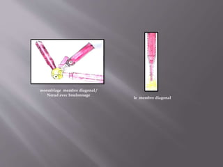 assemblage membre diagonal /
Nœud avec boulonnage
le membre diagonal
 
