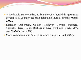 Hypothyroidism secondary to lymphocytic thyroiditis appears to
develop at a younger age than idiopathic thyroid atrophy ...