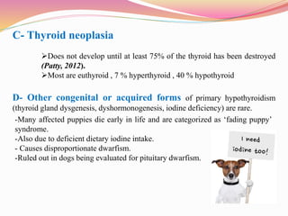 C- Thyroid neoplasia
Does not develop until at least 75% of the thyroid has been destroyed
(Patty, 2012).
Most are euthy...