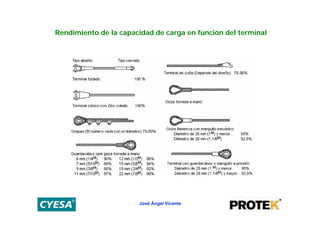 Rendimiento de la capacidad de carga en función del terminal




                       José Ángel Vicente
 