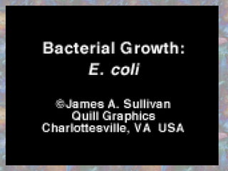 The previous pages show what exponential growth
looks like as a curve, but what happens in real life.
You start with one item which replicates continuously.
 