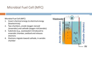 Microbial Fuel Cell (MFC)
Microbial Fuel Cell (MFC)
1. Covert chemical energy to electrical energy
(bioelectricity)
2. Two chambers, anode (oxygen starved
/anaerobic) and cathode (oxygen rich/aerobic)
3. Substrate (e.g., wastewater) introduced to
anaerobic chamber, oxidized and releases
electrons
4. Electrons migrate toward cathode, in aerobic
chamber
 