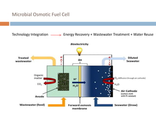 Microbial Osmotic Fuel Cell
Technology Integration Energy Recovery + Wastewater Treatment + Water Reuse
 