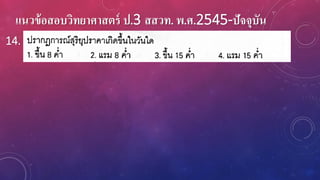 แนวข้อสอบวิทยาศาสตร์ ป.3 สสวท. พ.ศ.2545-ปัจจุบัน
14.
 