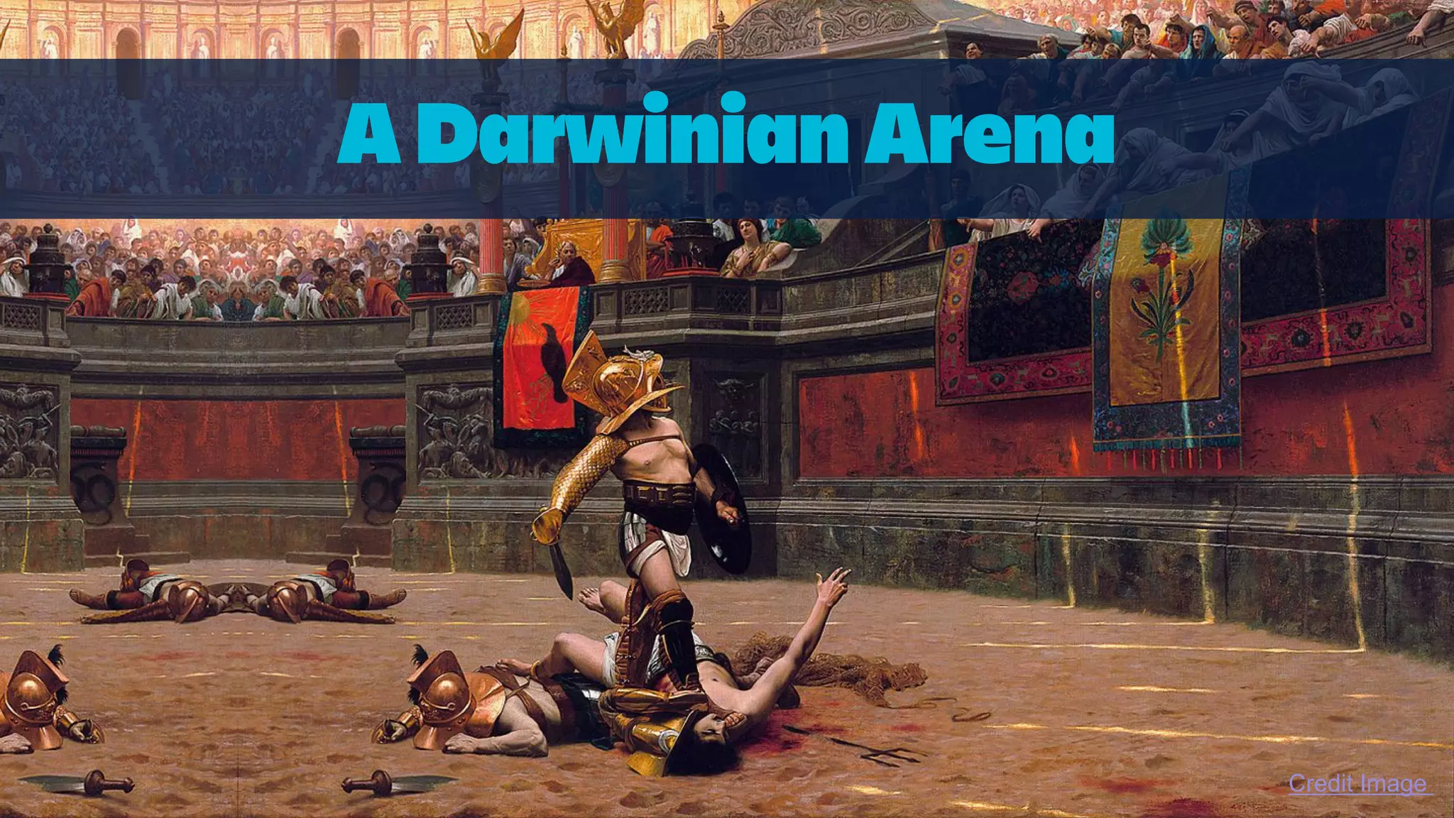 A Darwinian Arena
Credit Image
 