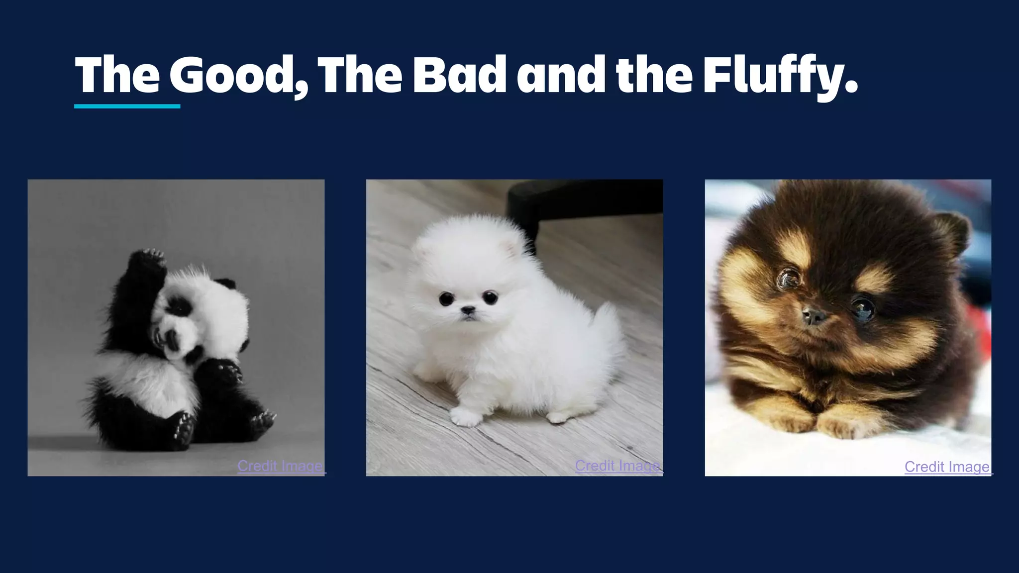 The Good, The Bad and the Fluffy.
Credit Image Credit Image Credit Image
 
