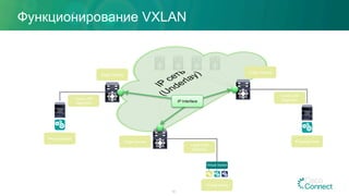 Функционирование VXLAN
10
Local LAN
Segment
Physical Host
Local LAN
Segment
Physical Host
Virtual Hosts
Local LAN
Segment
Virtual Switch
Edge Device
Edge Device
Edge Device
IP Interface
 