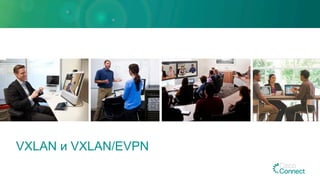 VXLAN и VXLAN/EVPN
 
