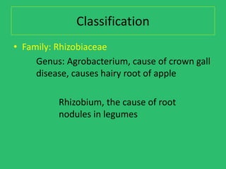 plant pathogeni bacteria and 15302738.ppt