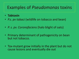 Tabtoxin Structure plant pathogeni bacteria and 15302738.ppt