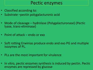 Enzyme Pg plant pathogeni bacteria and 15302738.ppt