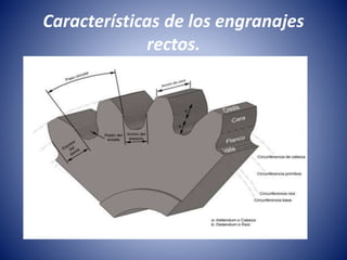 Características de los engranajes
rectos.
 