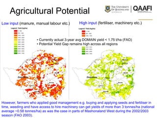 Agricultural Potential
Low input (manure, manual labour etc.)           High input (fertiliser, machinery etc.)



                      • Currently actual 3-year avg DOMAIN yield < 1.75 t/ha (FAO)
                      • Potential Yield Gap remains high across all regions




However, farmers who applied good management e.g. buying and applying seeds and fertiliser in
time, weeding and have access to hire machinery can get yields of more than 3 tonnes/ha (national
average ~0.58 tonnes/ha) as was the case in parts of Mashonaland West during the 2002/2003
season (FAO 2003).
 