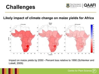 Challenges
Likely impact of climate change on maize yields for Africa




   Impact on maize yields by 2050 - Percent loss relative to 1990 (Schlenker and
   Lobell, 2009)
 