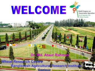WELCOME Wheat Research Centre   Bangladesh Agricultural Research Institute Gazipur Dr. Md. Ataur Rahman 