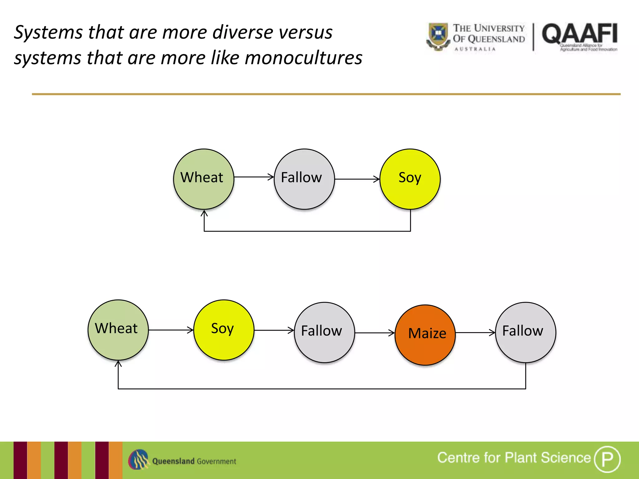 Systems that are more diverse versus
systems that are more like monocultures




                  Wheat      Fallow       Soy




        Wheat         Soy       Fallow     Maize   Fallow
 
