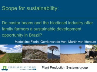 Scope for sustainability:

Do castor beans and the biodiesel industry offer
family farmers a sustainable development
opportunity in Brazil?
      Madeleine Florin, Gerrie van de Ven, Martin van Ittersum




                        Plant Production Systems group
 